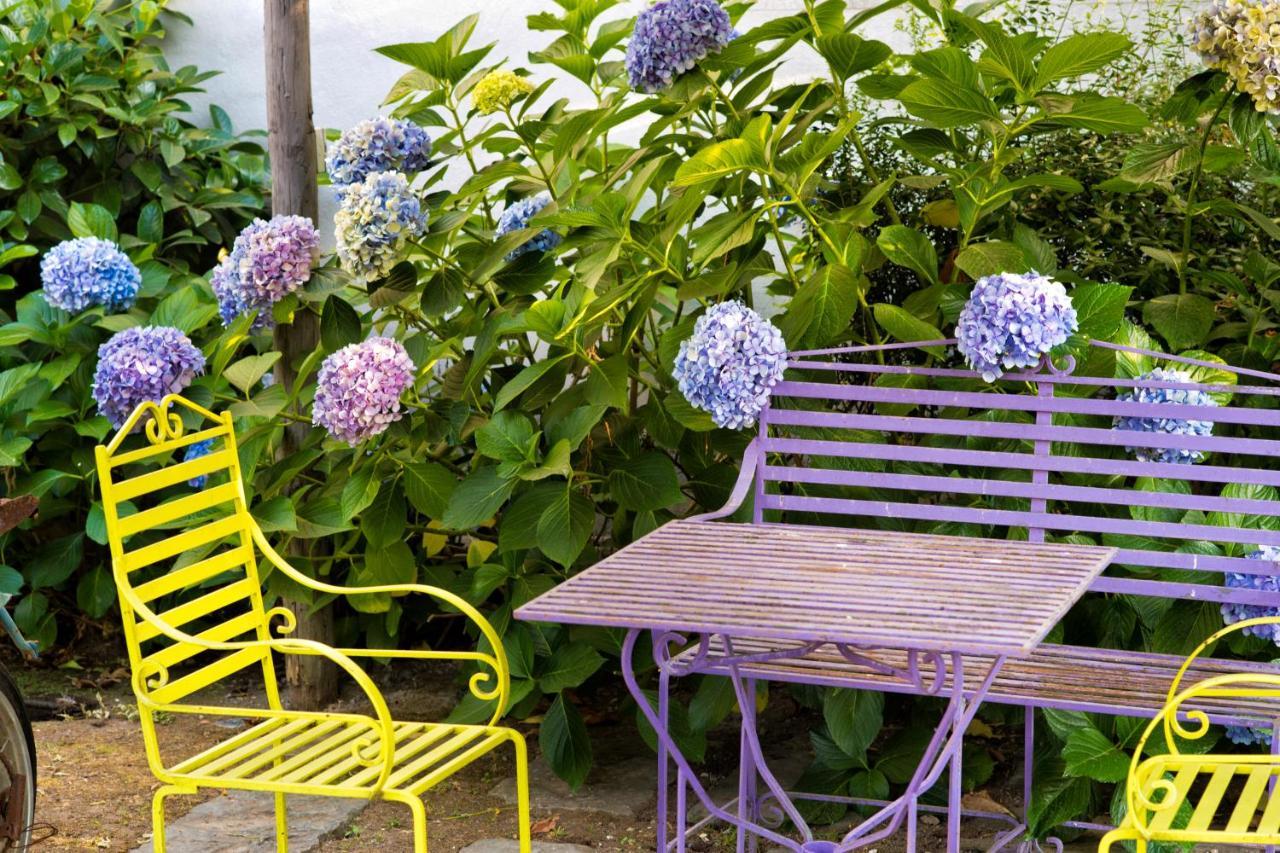 Maison Di Fiore B&B Эрколано Экстерьер фото